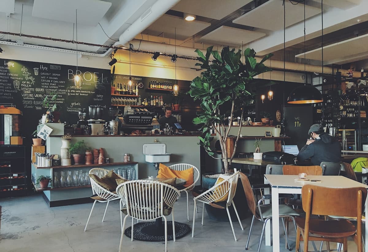 A cozy, sunlit cafe courtyard in Fort Kochi with lush greenery and artisan coffee